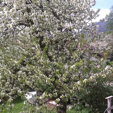 Apartment Eva's Bad Reichenhall