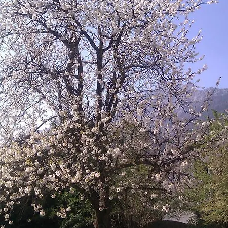 Eva's Apartamento Bad Reichenhall